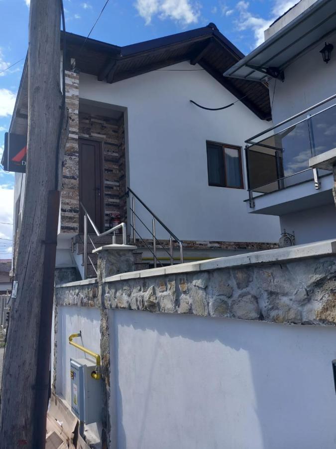 Casa Davison Lägenhet Târgu Jiu Exteriör bild
