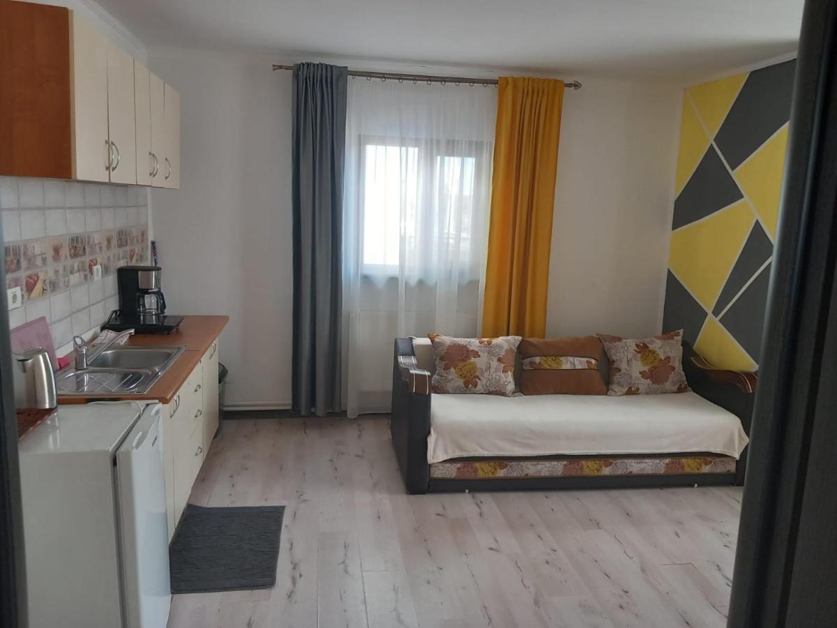 Casa Davison Lägenhet Târgu Jiu Exteriör bild