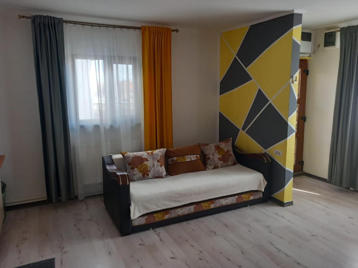 Casa Davison Lägenhet Târgu Jiu Exteriör bild