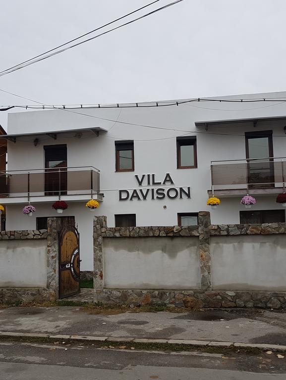 Casa Davison Lägenhet Târgu Jiu Exteriör bild