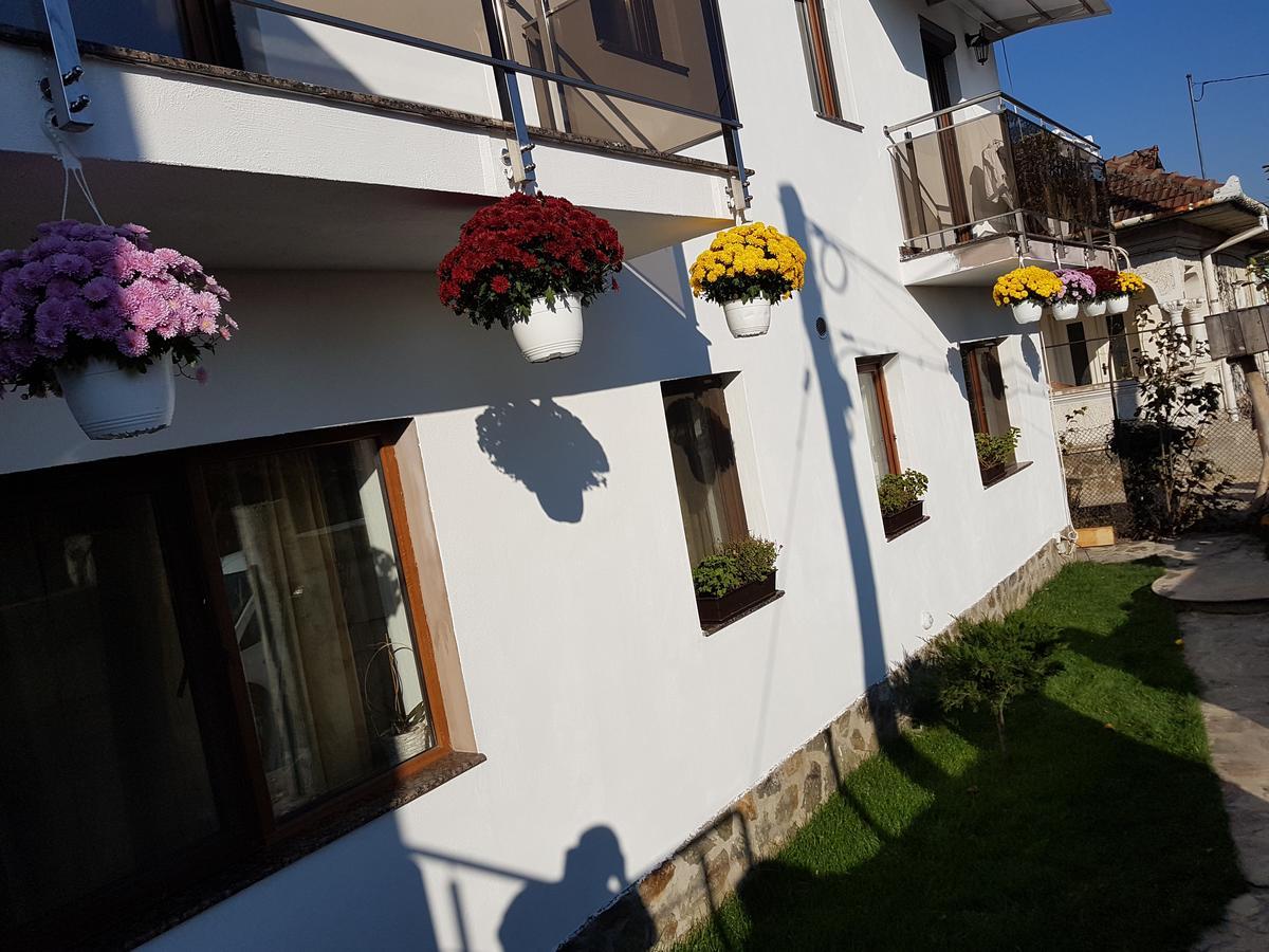 Casa Davison Lägenhet Târgu Jiu Exteriör bild