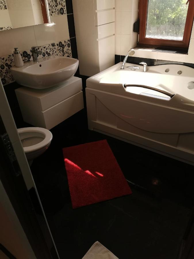 Casa Davison Lägenhet Târgu Jiu Exteriör bild